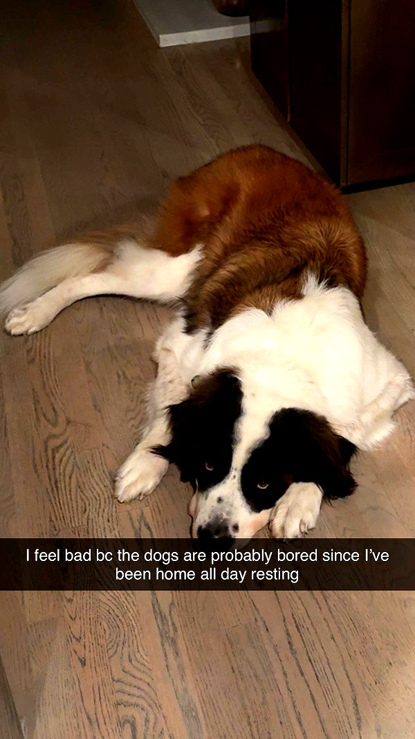 cclaire.bbear1 snapchat image archive image