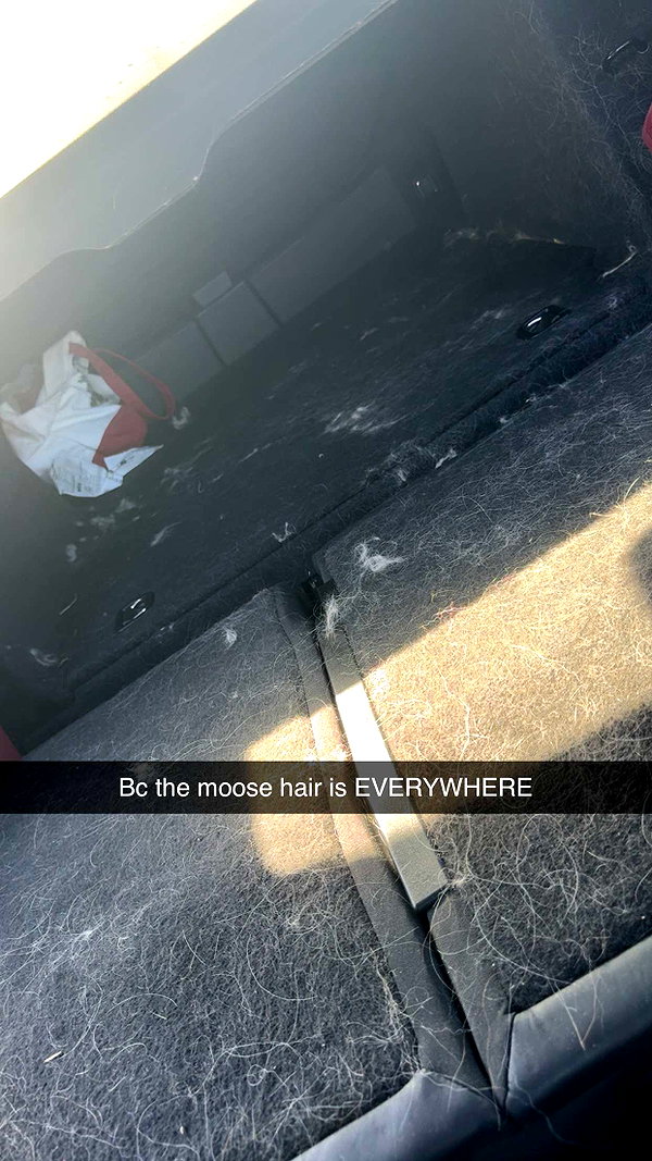 cclaire.bbear1 snapchat image archive image