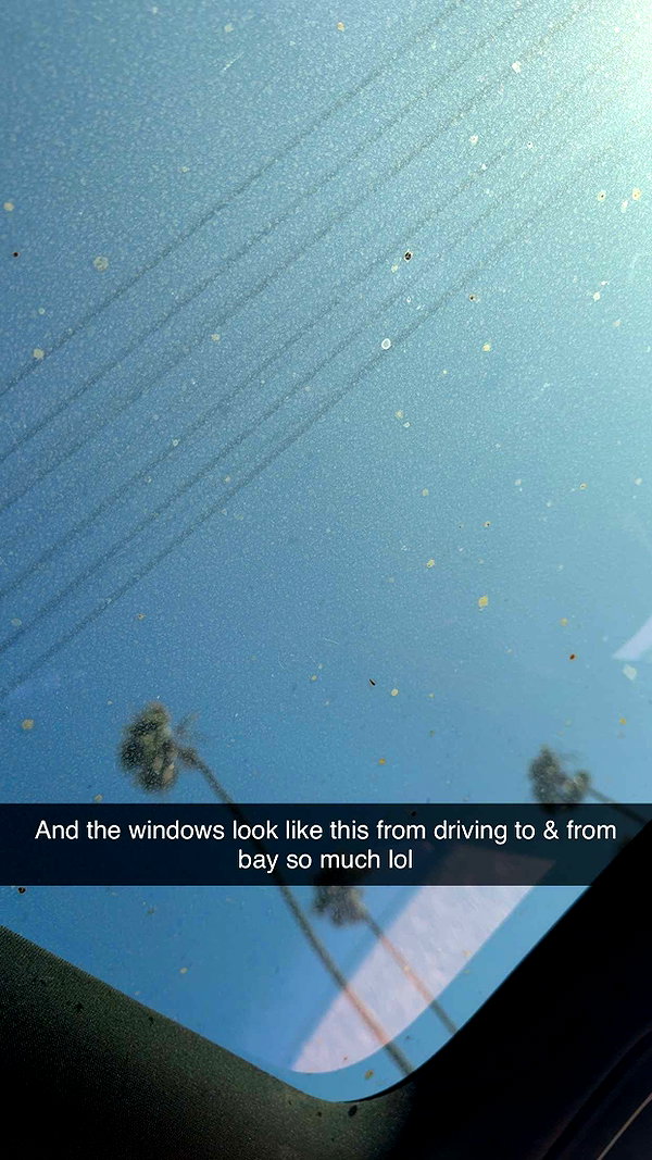 cclaire.bbear1 snapchat image archive image
