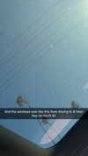 cclaire.bbear1 Altpins Profile Picture