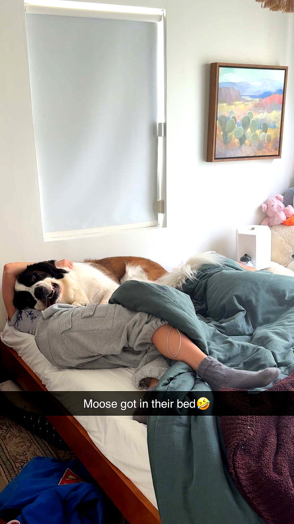 cclaire.bbear1 snapchat image archive image