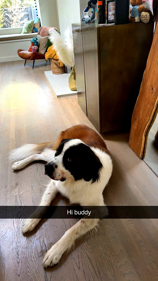 cclaire.bbear1 snapchat image archive image
