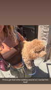 cclaire.bbear1 Altpins Profile Picture