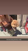 cclaire.bbear1 Altpins Profile Picture