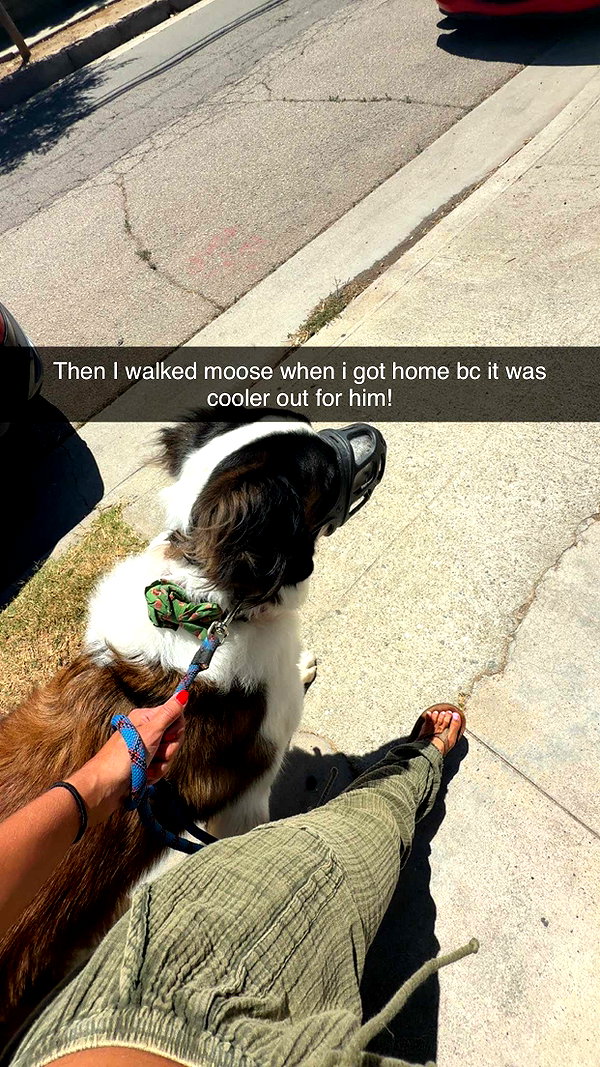 cclaire.bbear1 snapchat image archive image