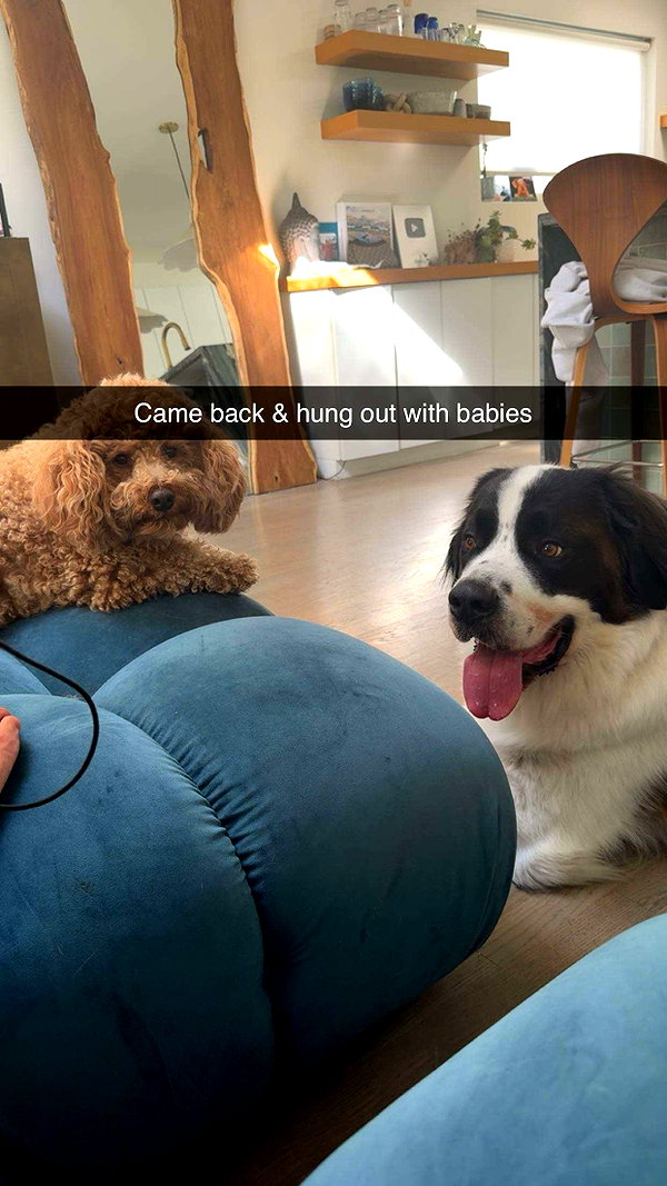 cclaire.bbear1 snapchat image archive image