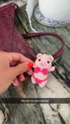cclaire.bbear1 Altpins Profile Picture