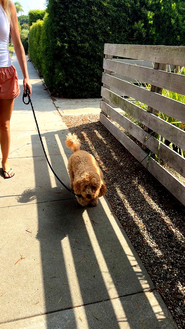 cclaire.bbear1 snapchat image archive image