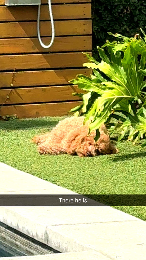cclaire.bbear1 snapchat image archive image