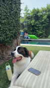cclaire.bbear1 Altpins Profile Picture