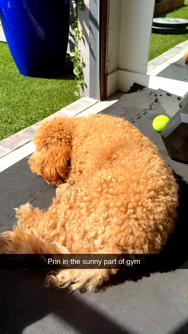 cclaire.bbear1 snapchat image archive image