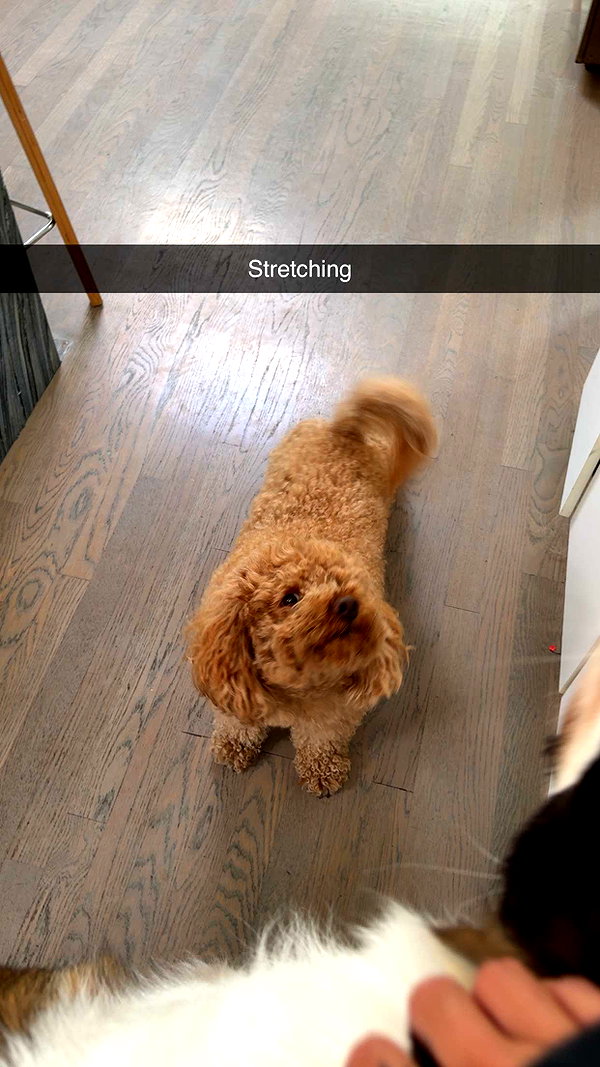 cclaire.bbear1 snapchat image archive image