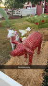 cclaire.bbear1 Altpins Profile Picture