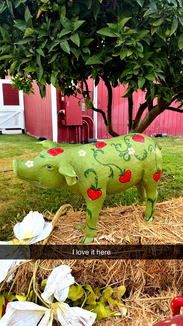 cclaire.bbear1 snapchat image archive image