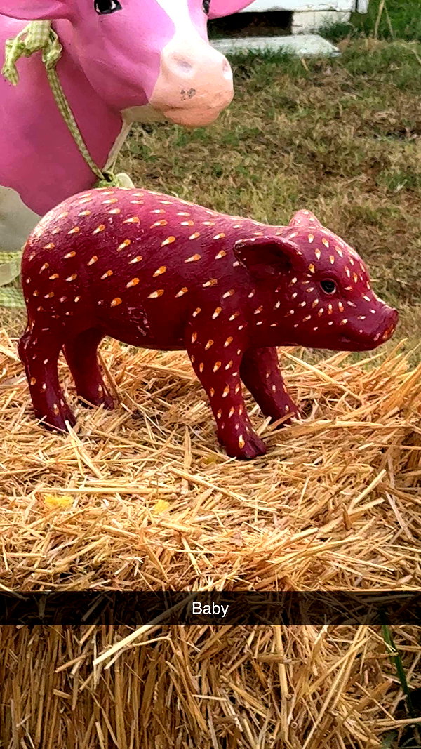 cclaire.bbear1 snapchat image archive image