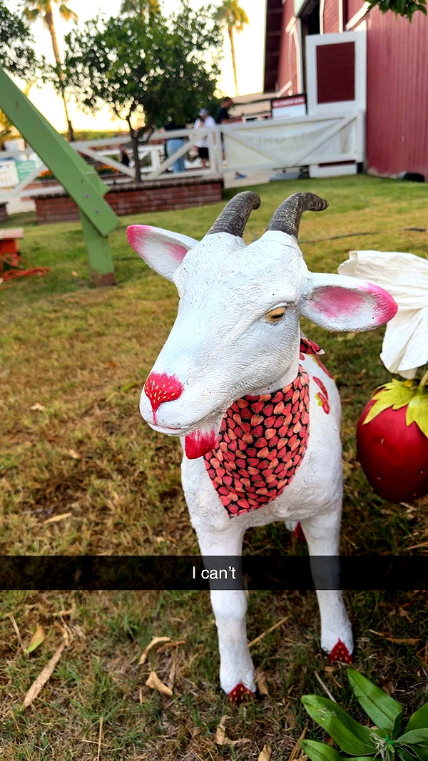 cclaire.bbear1 snapchat image archive image