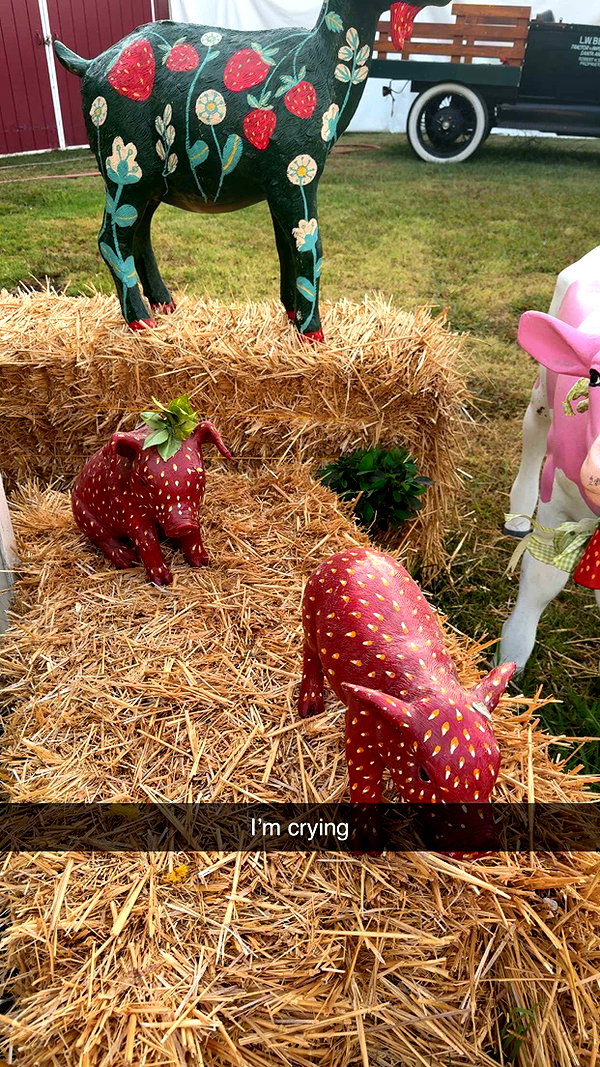cclaire.bbear1 snapchat image archive image