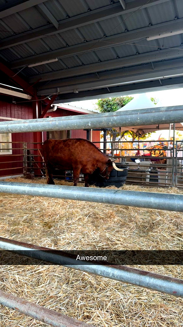 cclaire.bbear1 snapchat image archive image