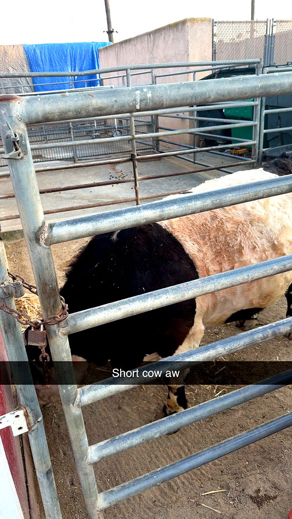 cclaire.bbear1 snapchat image archive image
