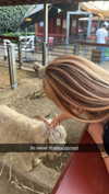 cclaire.bbear1 Altpins Profile Picture