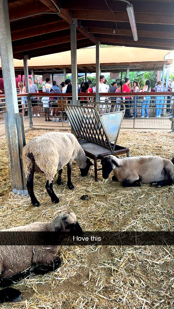 cclaire.bbear1 snapchat image archive image