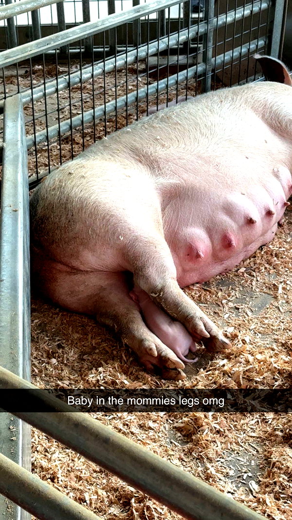 cclaire.bbear1 snapchat image archive image