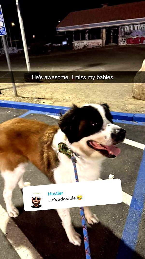 cclaire.bbear1 snapchat image archive image