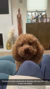 cclaire.bbear1 Altpins Profile Picture