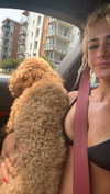 cclaire.bbear1 Altpins Profile Picture