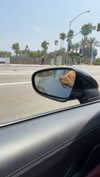 cclaire.bbear1 Altpins Profile Picture