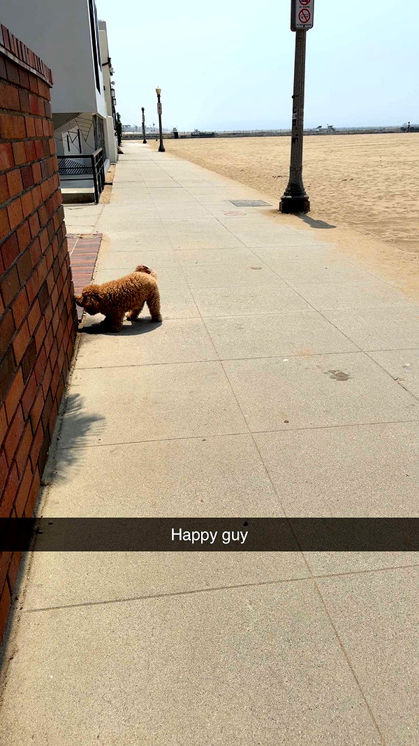 cclaire.bbear1 snapchat image archive image
