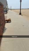 cclaire.bbear1 Altpins Profile Picture