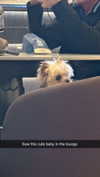 cclaire.bbear1 Altpins Profile Picture