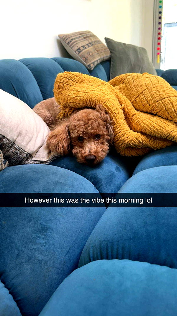 cclaire.bbear1 snapchat image archive image