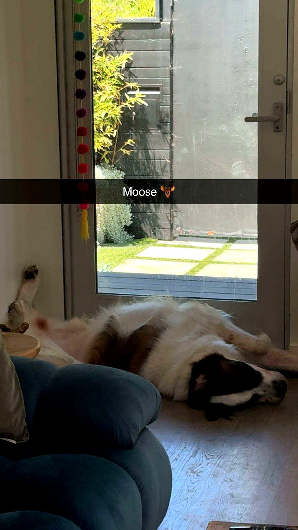 cclaire.bbear1 snapchat image archive image