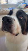 cclaire.bbear1 Altpins Profile Picture