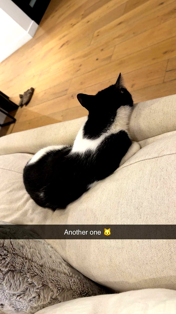 cclaire.bbear1 snapchat image archive image