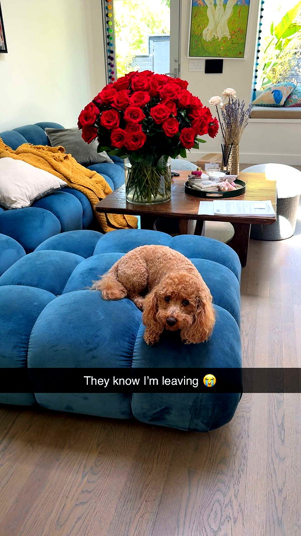 cclaire.bbear1 snapchat image archive image