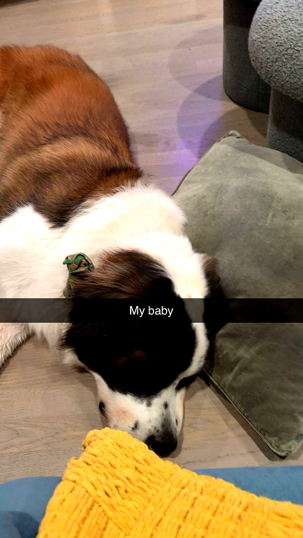 cclaire.bbear1 snapchat image archive image