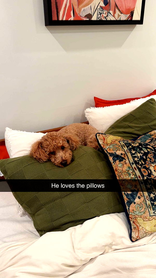 cclaire.bbear1 snapchat image archive image