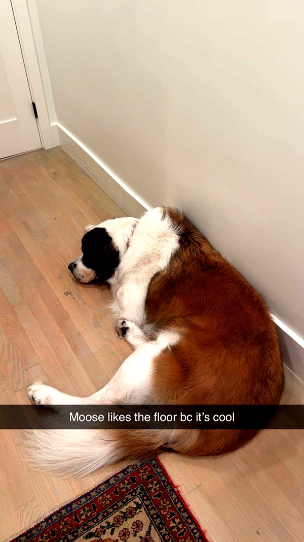 cclaire.bbear1 snapchat image archive image