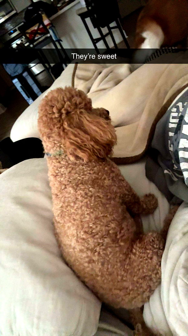 cclaire.bbear1 snapchat image archive image