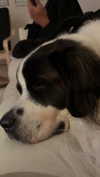 cclaire.bbear1 Altpins Profile Picture
