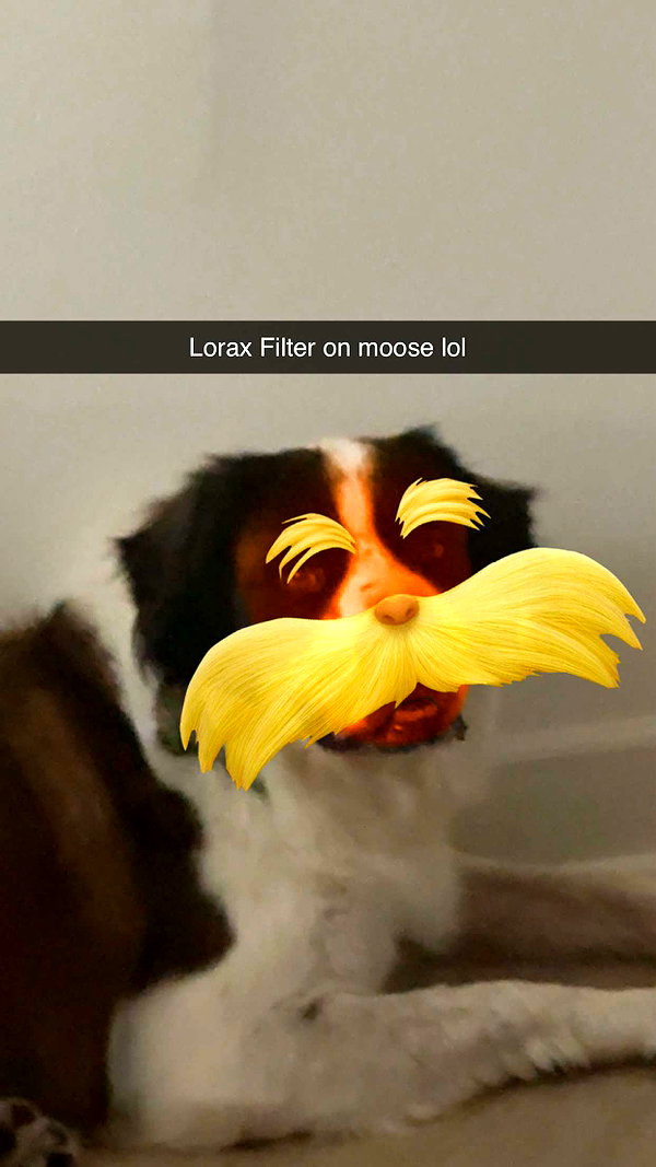 cclaire.bbear1 snapchat image archive image