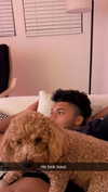 cclaire.bbear1 Altpins Profile Picture