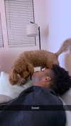 cclaire.bbear1 Altpins Profile Picture