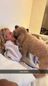 cclaire.bbear1 Altpins Profile Picture