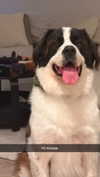 cclaire.bbear1 Altpins Profile Picture