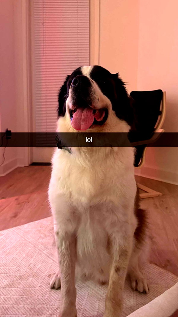 cclaire.bbear1 snapchat image archive image