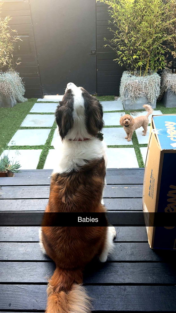 cclaire.bbear1 snapchat image archive image